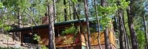 Pinetop Arizona Cabin Renta