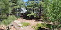 Pinetop Arizona Cabin Rental vacation