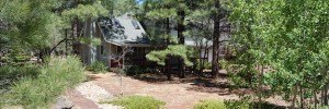 Pinetop Arizona Cabin Rental vacation