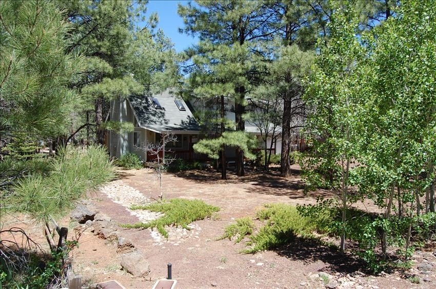 Pinetop Arizona Cabin Rental vacation