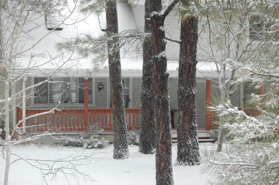 Pinetop Arizona Cabin Rental Vacation