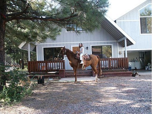 Pinetop Arizona Vacation Cabin Rental