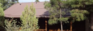 Bugling Elk Cabin Rental