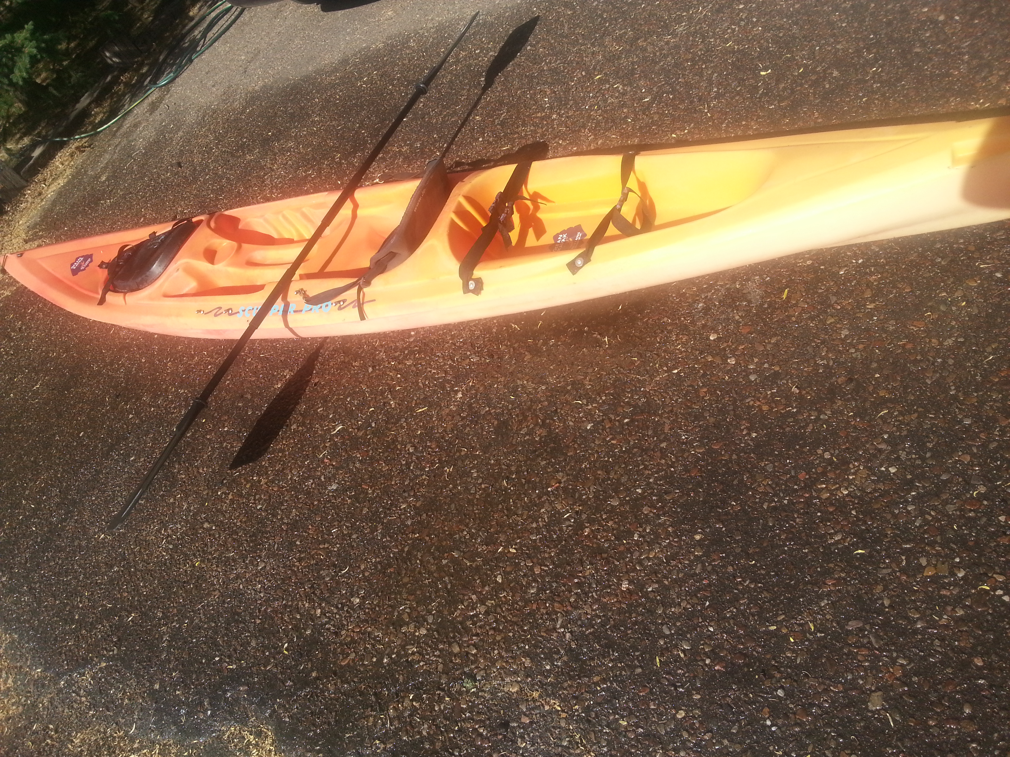 Orange Scupper Pro Single Seater Kayak Rental