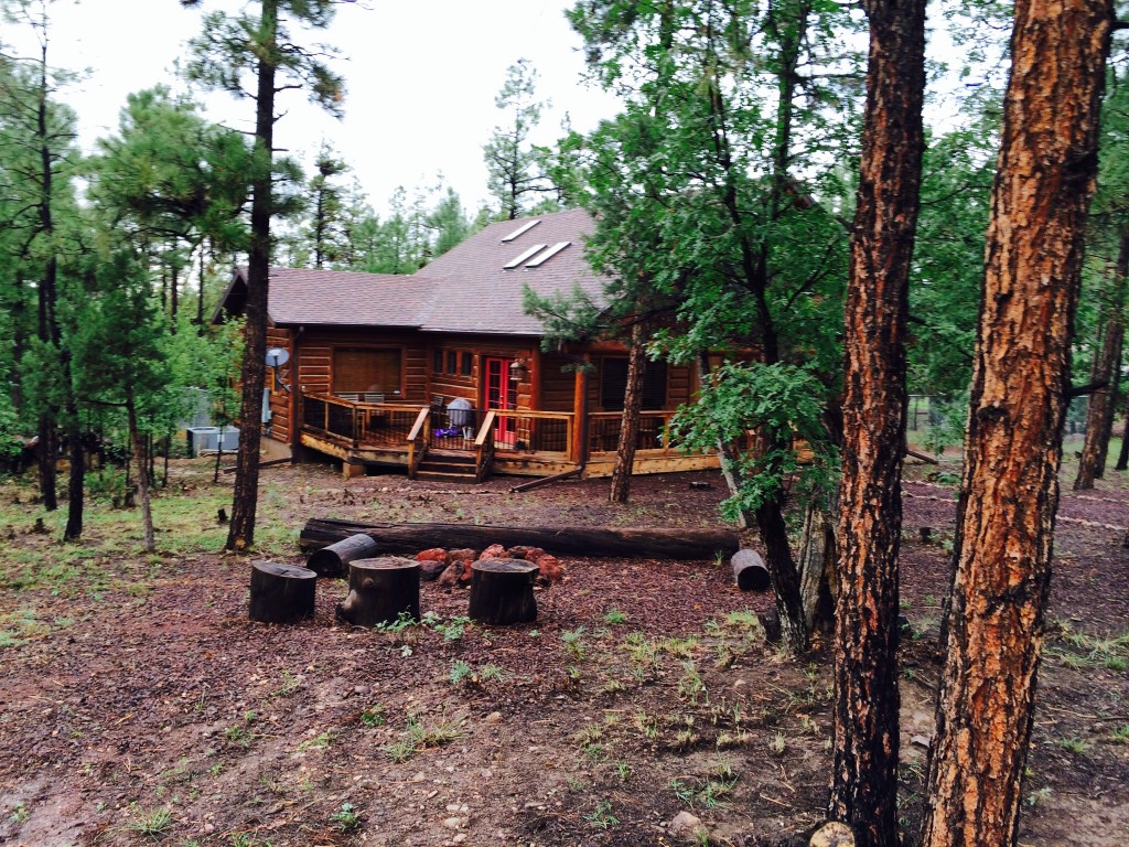 Ziggy's Hideaway - Pinetop, Arizona