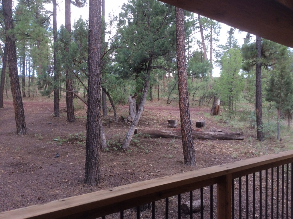 Ziggy's Hideaway - Pinetop, Arizona