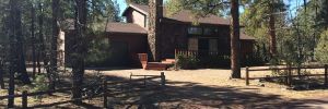 Pinetop-Lakeside Cabin Rental