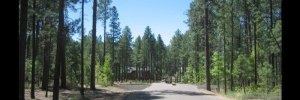 Pinetop Cabin Rental