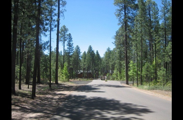 Pinetop Cabin Rental