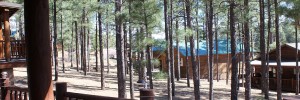 Pinewood Shadows - Show Low, Arizona Cabin Rental