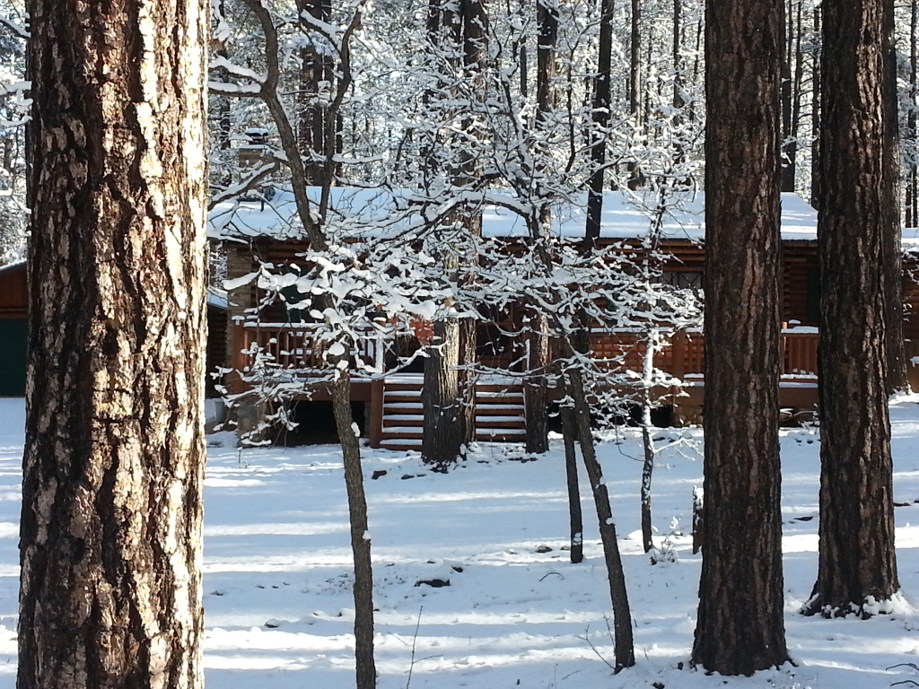 Pierson Cabin Rental - Pinetop