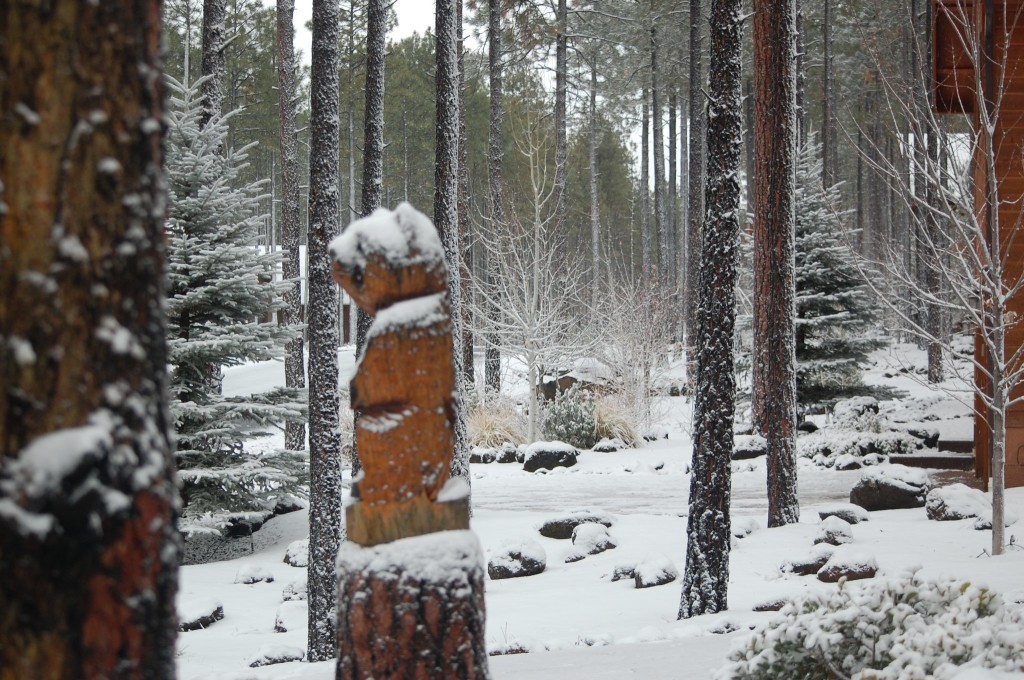 Pinetop Arizona Cabin Rental Vacation