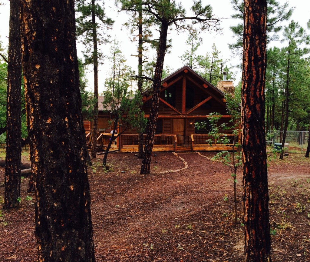 Ziggy's Hideaway Cabin - Pinetop