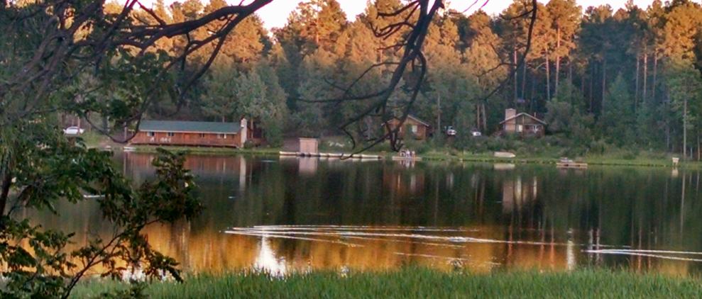 AZ Lakehouse Cabin in Lakeside, Arizona